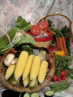 thanksgiving foods NAMC montessori activities
