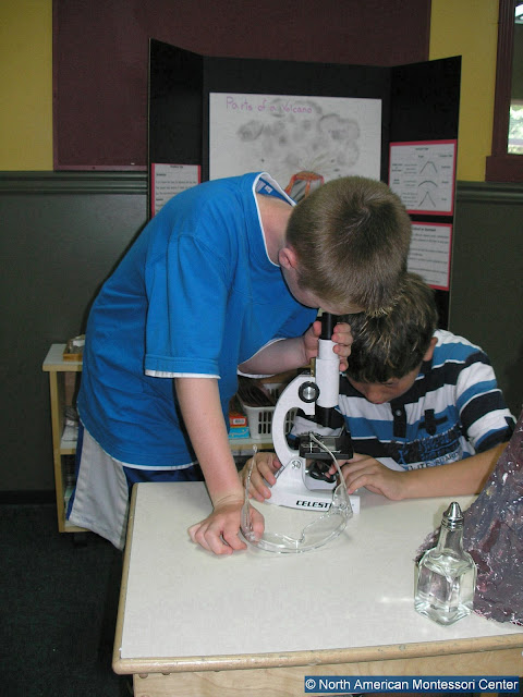 NAMC Montessori Inspired Age Appropriate Toys boys with microscope