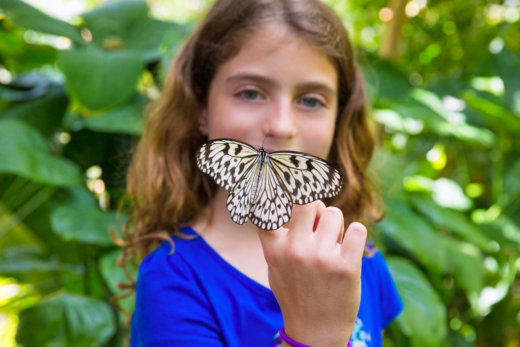 Girl holding a butterfly
