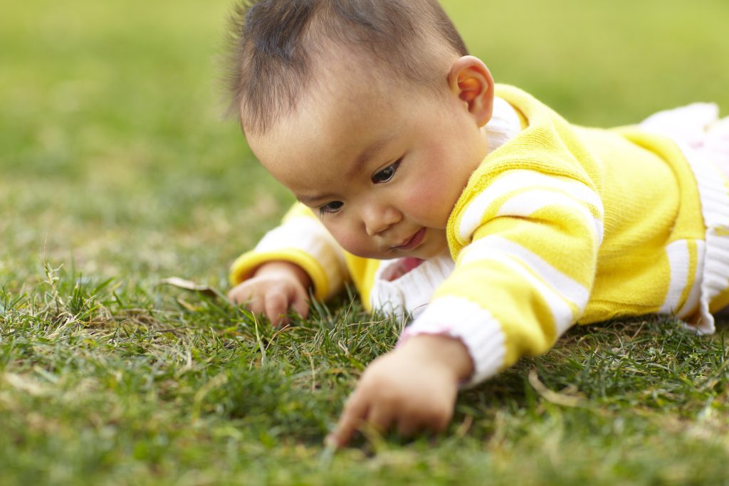 infant on stomach exploring grass with hands