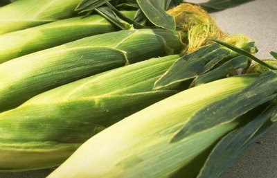 NAMC montessori harvest festival activities vegetables corn