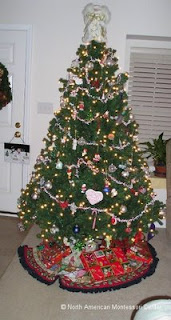 symbols of christmas NAMC montessori curriculum activities decorated tree