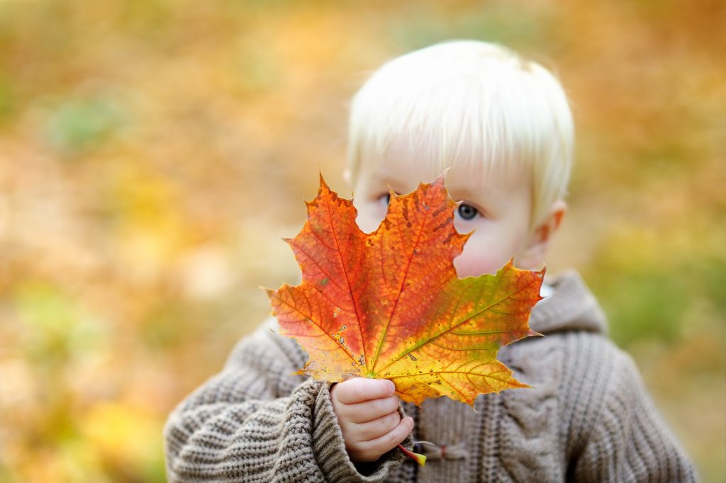 toddler with autumn leaf
