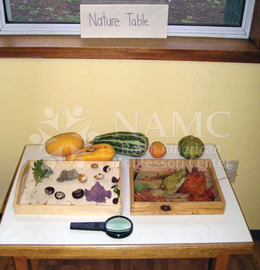 NAMC montessori how to create home prepared environment nature table