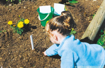 NAMC montessori classroom activities summer solstice girl gardening