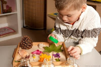NAMC montessori prepared environment subject areas classroom design boy looking at plants
