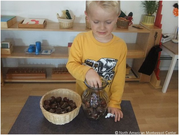 NAMC montessori Grace and courtesy vase of kindness