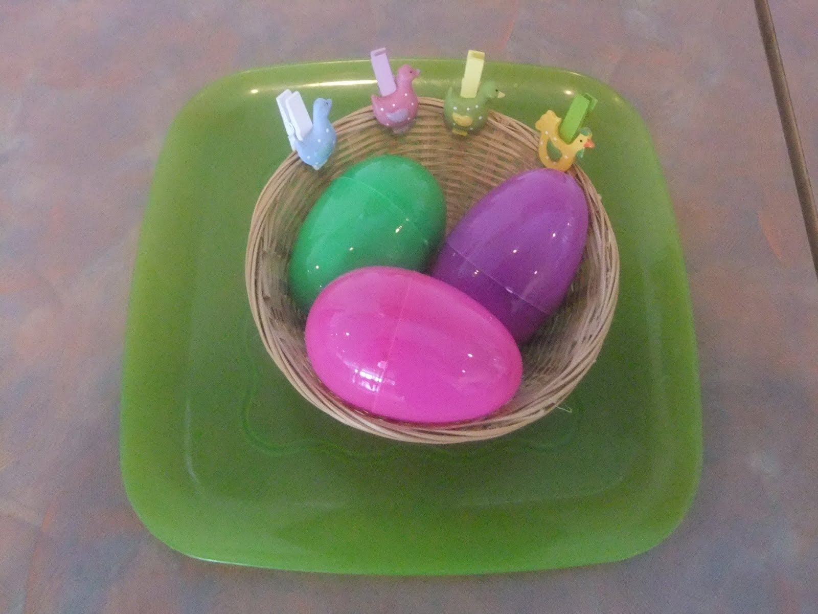 NAMC montessori preschool classroom activities learning about birds bird clothespins