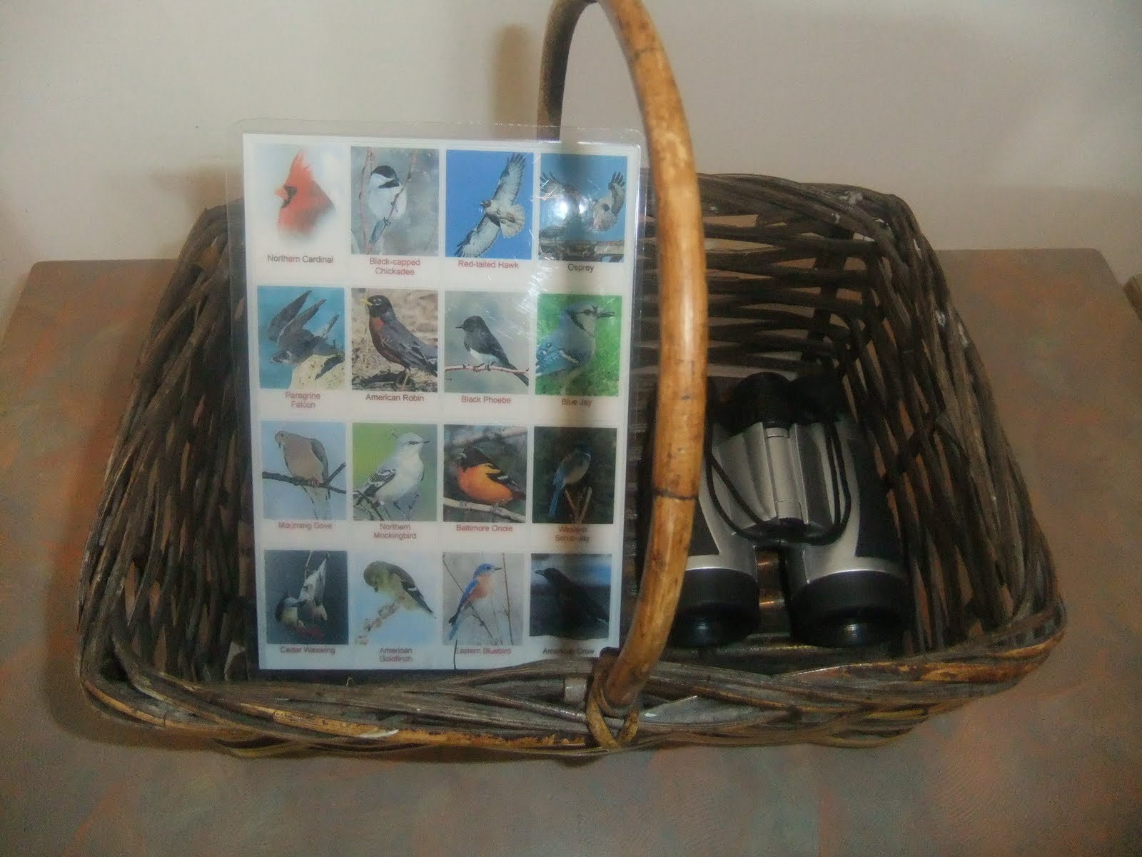 NAMC montessori preschool classroom activities learning about birds birdwatching basket