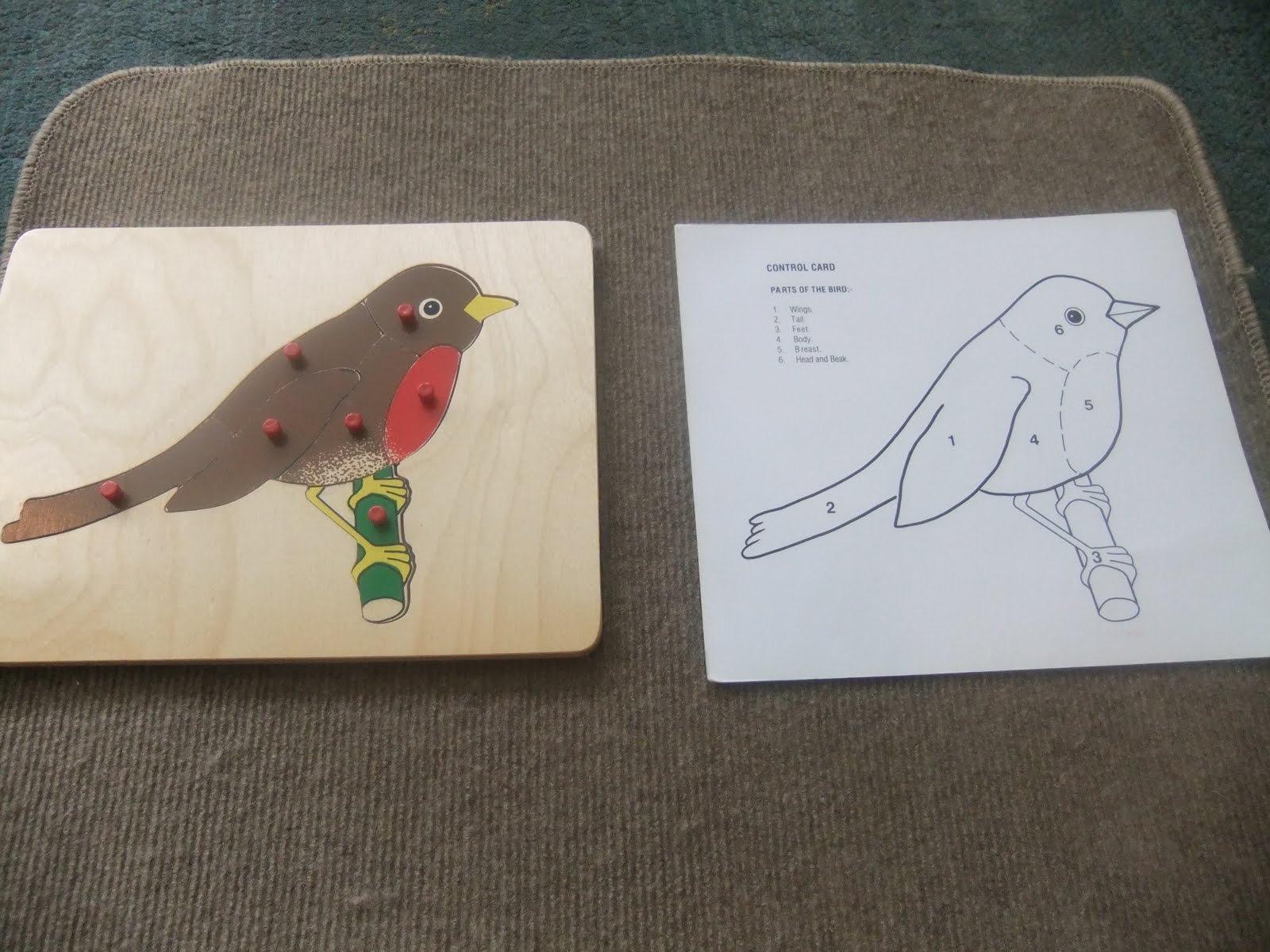 NAMC montessori preschool classroom activities learning about birds bird puzzle