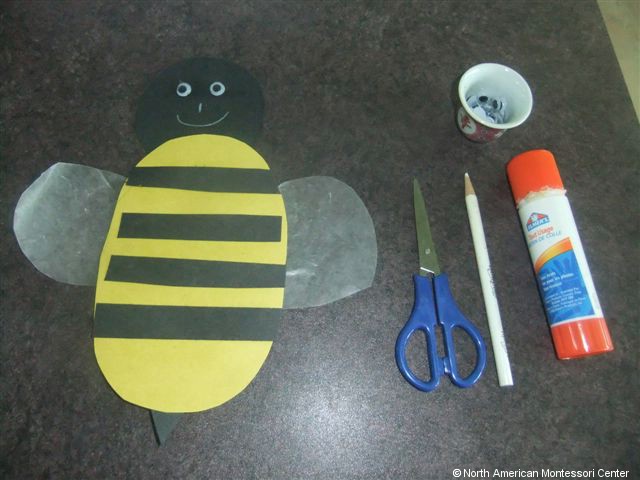 NAMC montessori preschool classroom studying honeybees paper bee