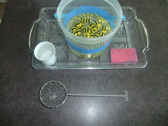 NAMC montessori preschool classroom activities learning about honeybees bee scooping