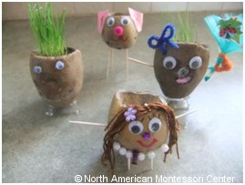 Montessori Preschool planting activities classroom potato head grass hair 