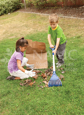 united nations day social justice NAMC montessori cosmic education raking leaves