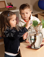 children watering plant important things learned from NAMC montessori students