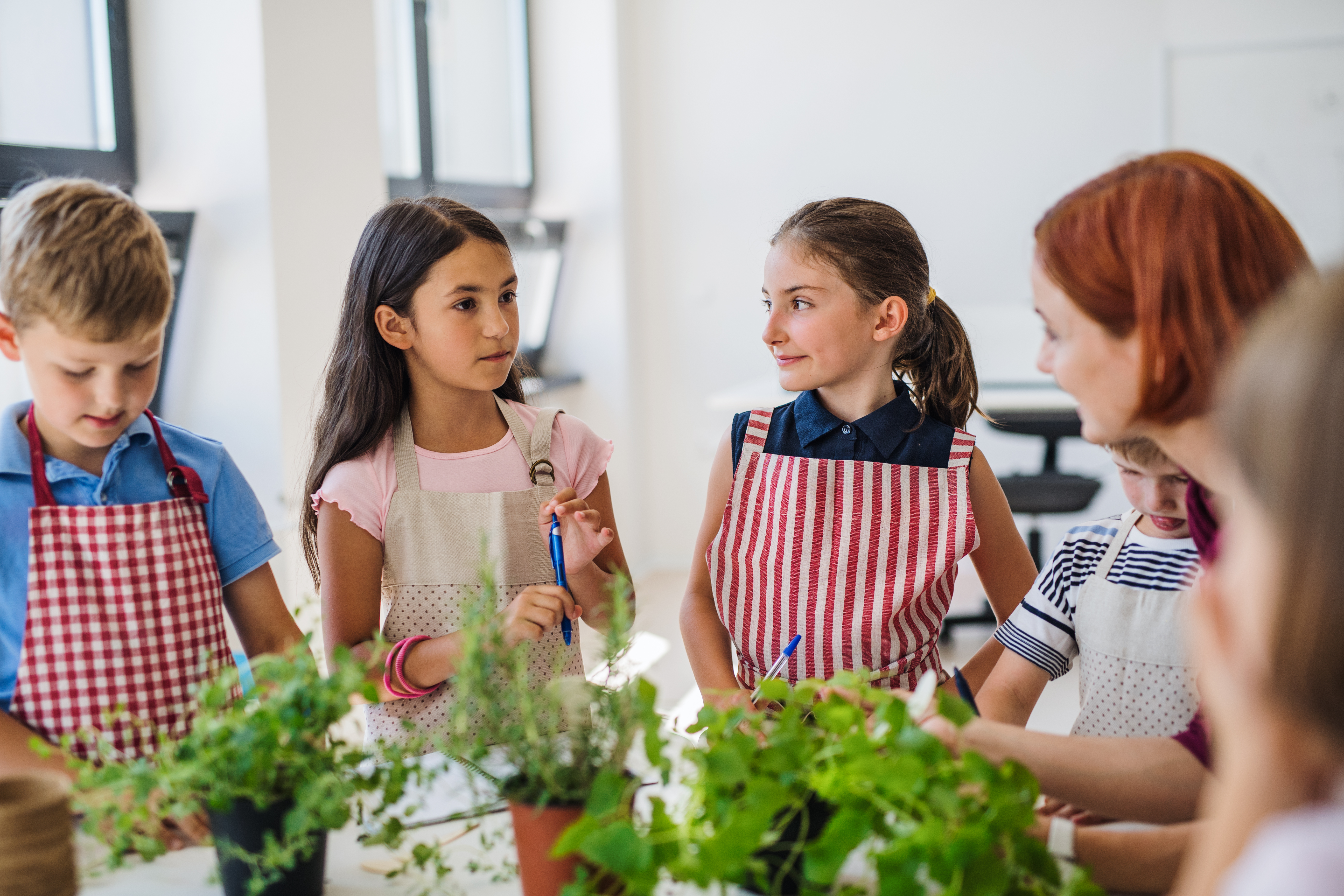 Blog Image