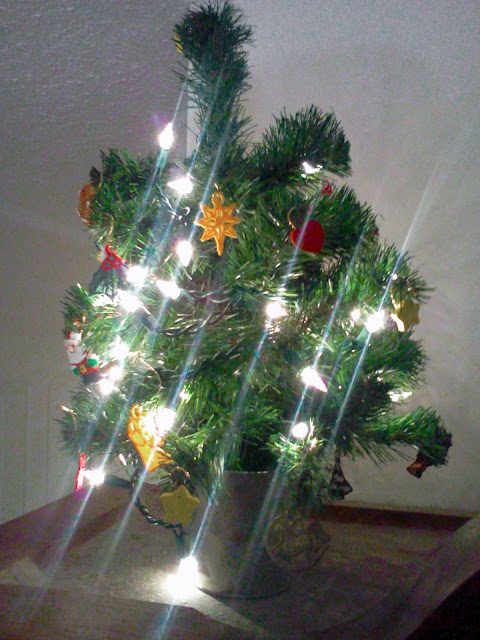 NAMC Montessori peace education christmas tree practical life peace place