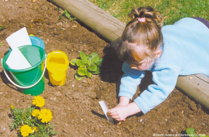 namc montessori adding new works to environment. girl planting in garden