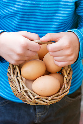 NAMC montessori nutrition is part of prepared environment holding basket of eggs