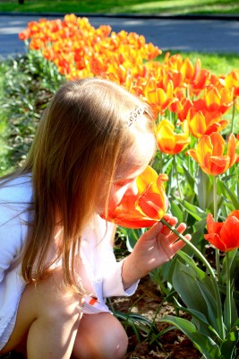 NAMC Montessori sequencing activity printable girl smelling summer flower