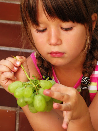 NAMC preparing for food allergies in the Montessori environment
