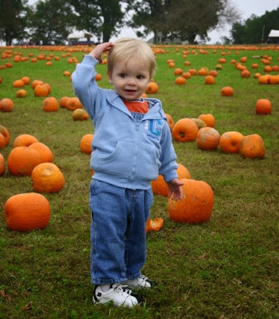NAMC Montessori going out activity visiting a farm for fall boy with pumpkins