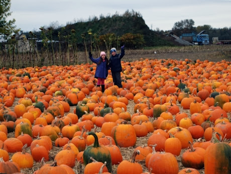 NAMC Montessori going out activity visiting a farm for fall children with pumpkins