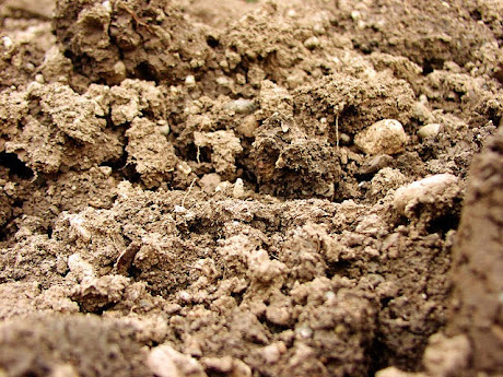namc montessori sensorial work with soil exploring earth close up of soil