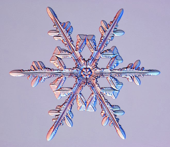 NAMC Montessori snow activities microscopic snow picture