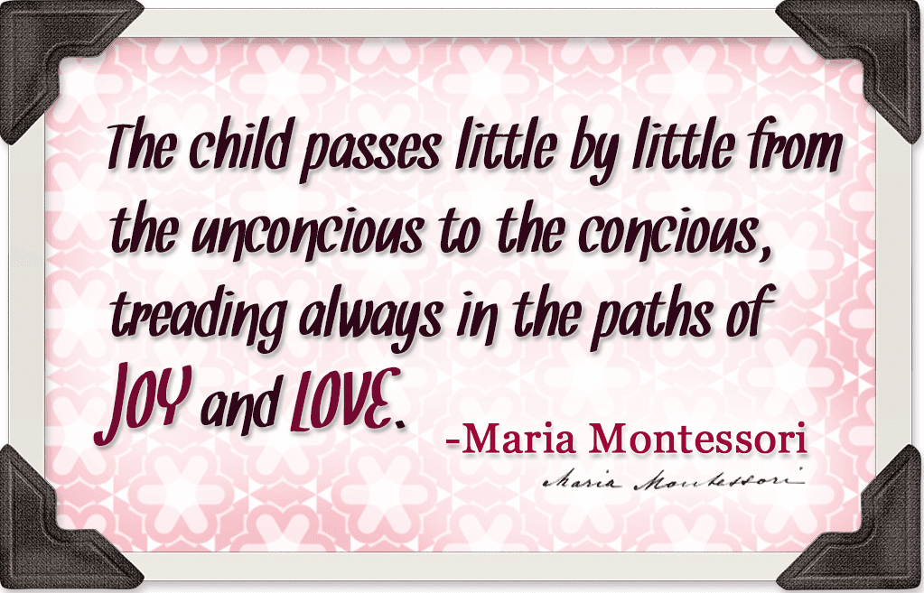 namc montessori studying the works absorbent mind chapter 3 quote