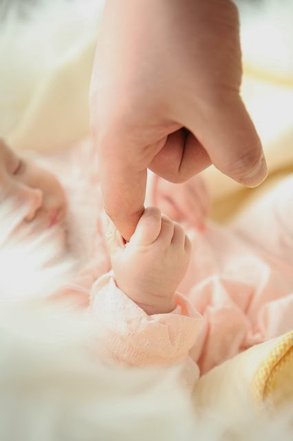 namc montessori studying absorbent mind chapter 5 baby holding finger
