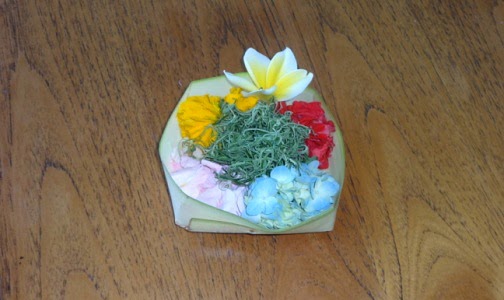 NAMC Montessori Practical Life Culture Studies Making Daily Offering Canang Sari Offering Bali