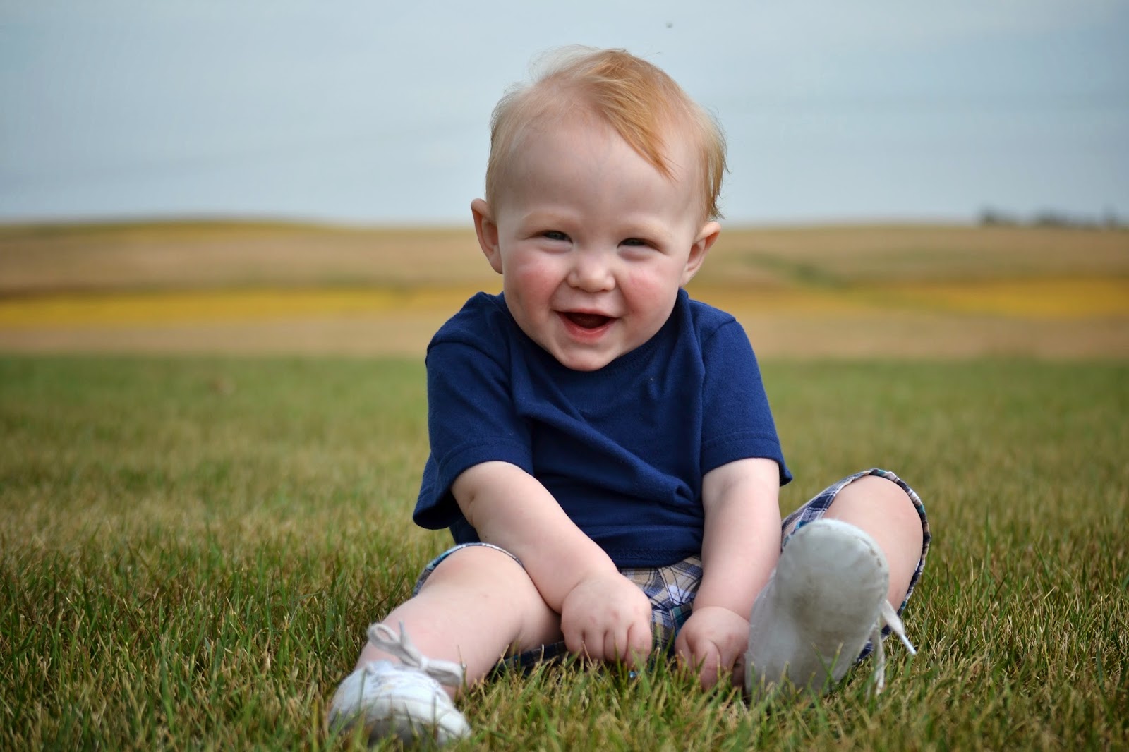 namc montessori studying the works absorbent mind chapter 3 baby on grass