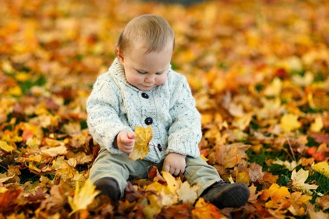 NAMC studying montessori the absorbent mind ch 6 embryology behavior baby with leaves