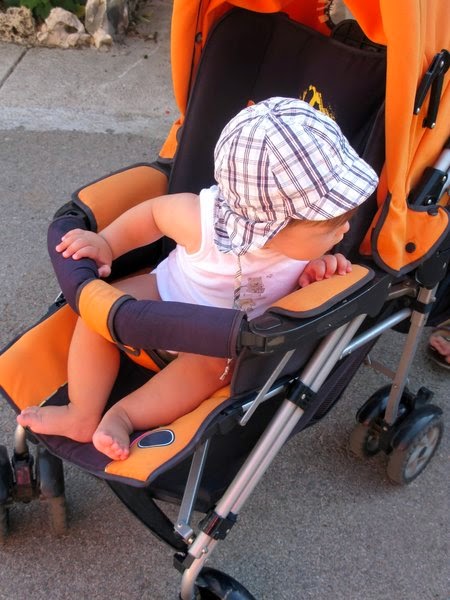 namc studying montessori absorbent mind ch 15 development imitation child in stroller