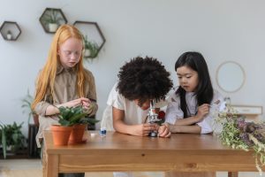 Three elementary students at table. Once is looking through a microscope. A variety of plant pots are also on the table