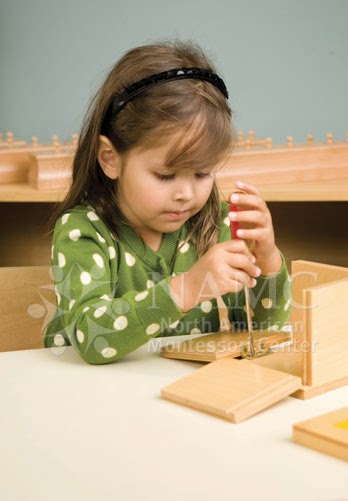 Executive Function and Childhood Development