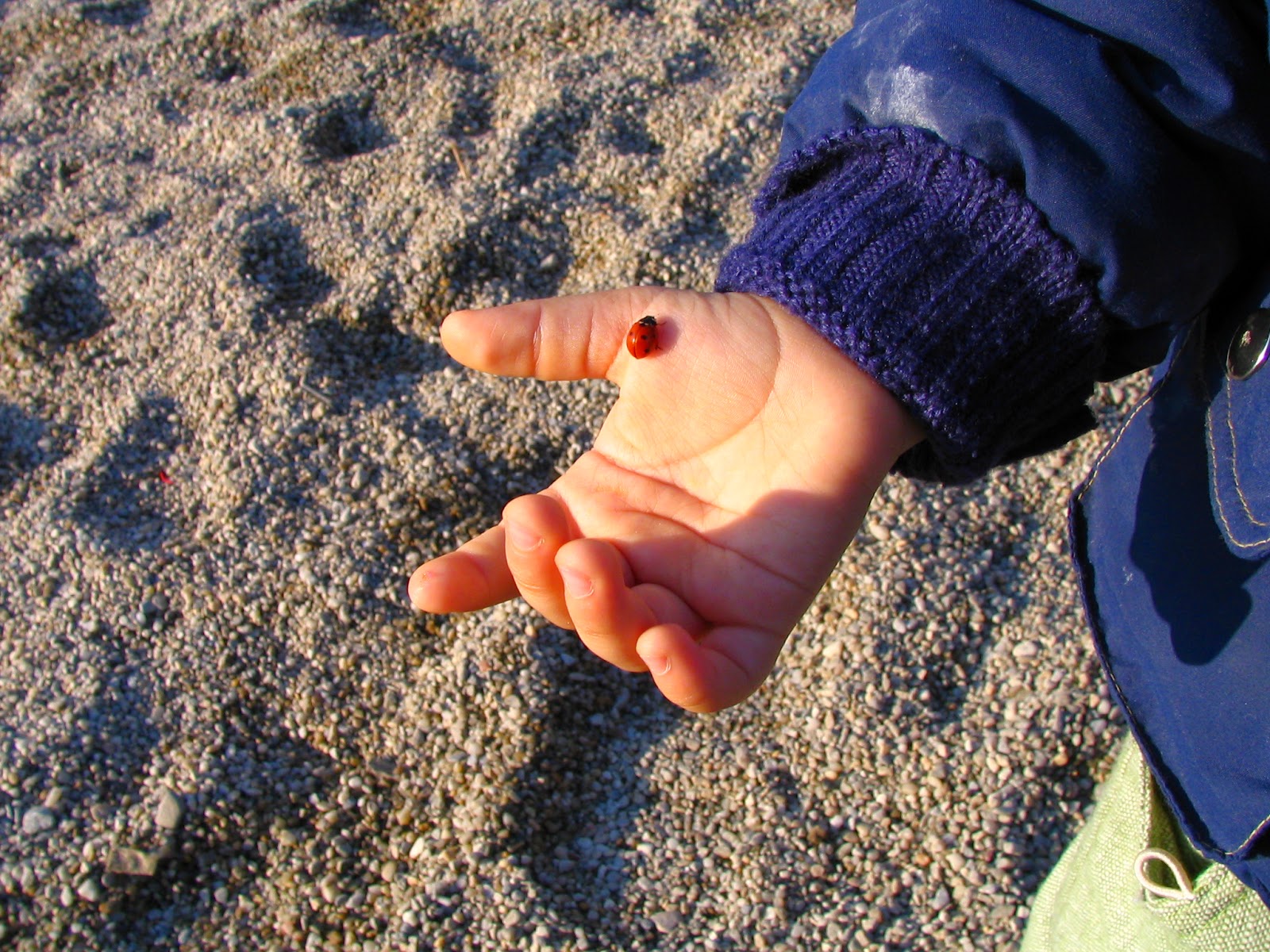 Blog Image
