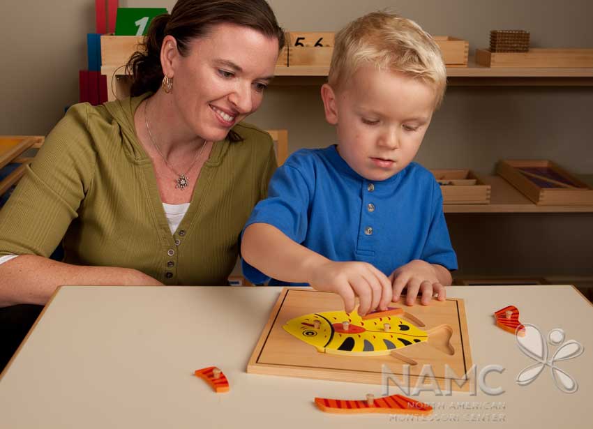 NAMC Montessori Absorbent Mind ch 26 boy with parts of fish puzzle