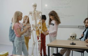 elementary students examining a skeleton