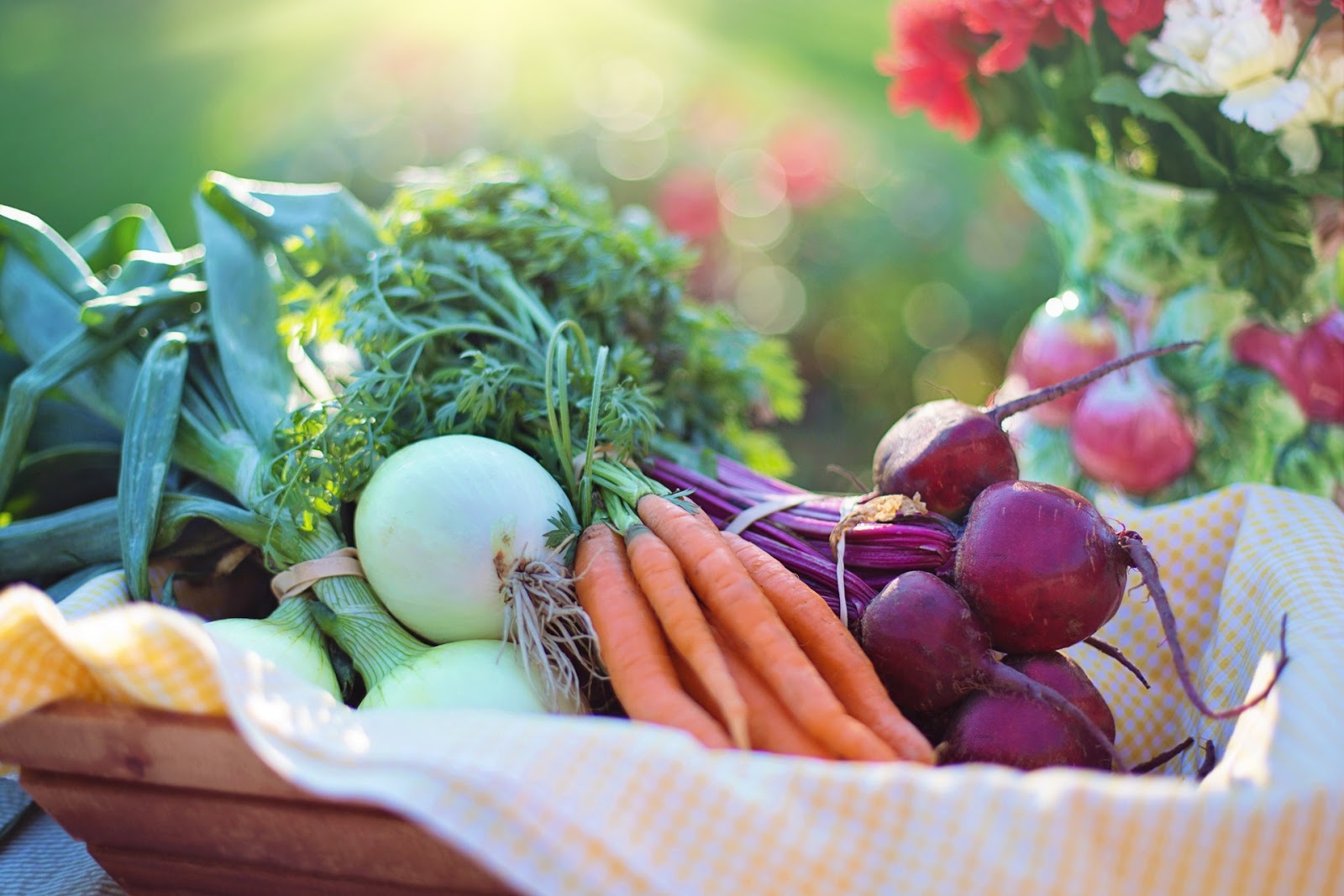 NAMC Montessori cosmic education and world food day. Healthy local food.