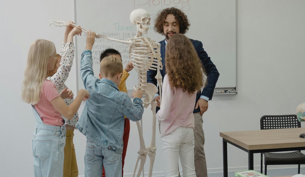 elementary students examining skeleton in class