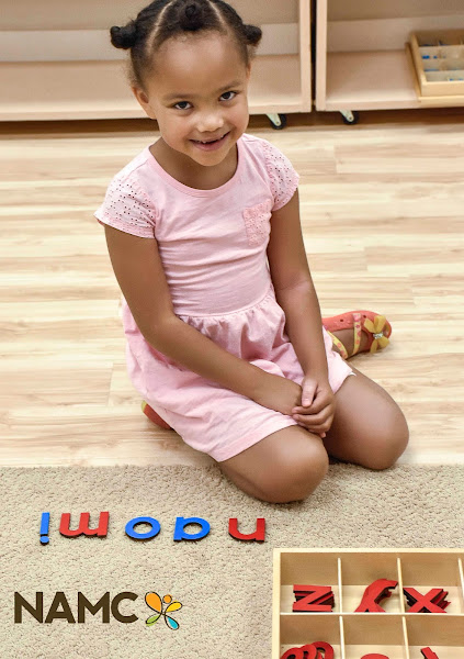 Blog Image