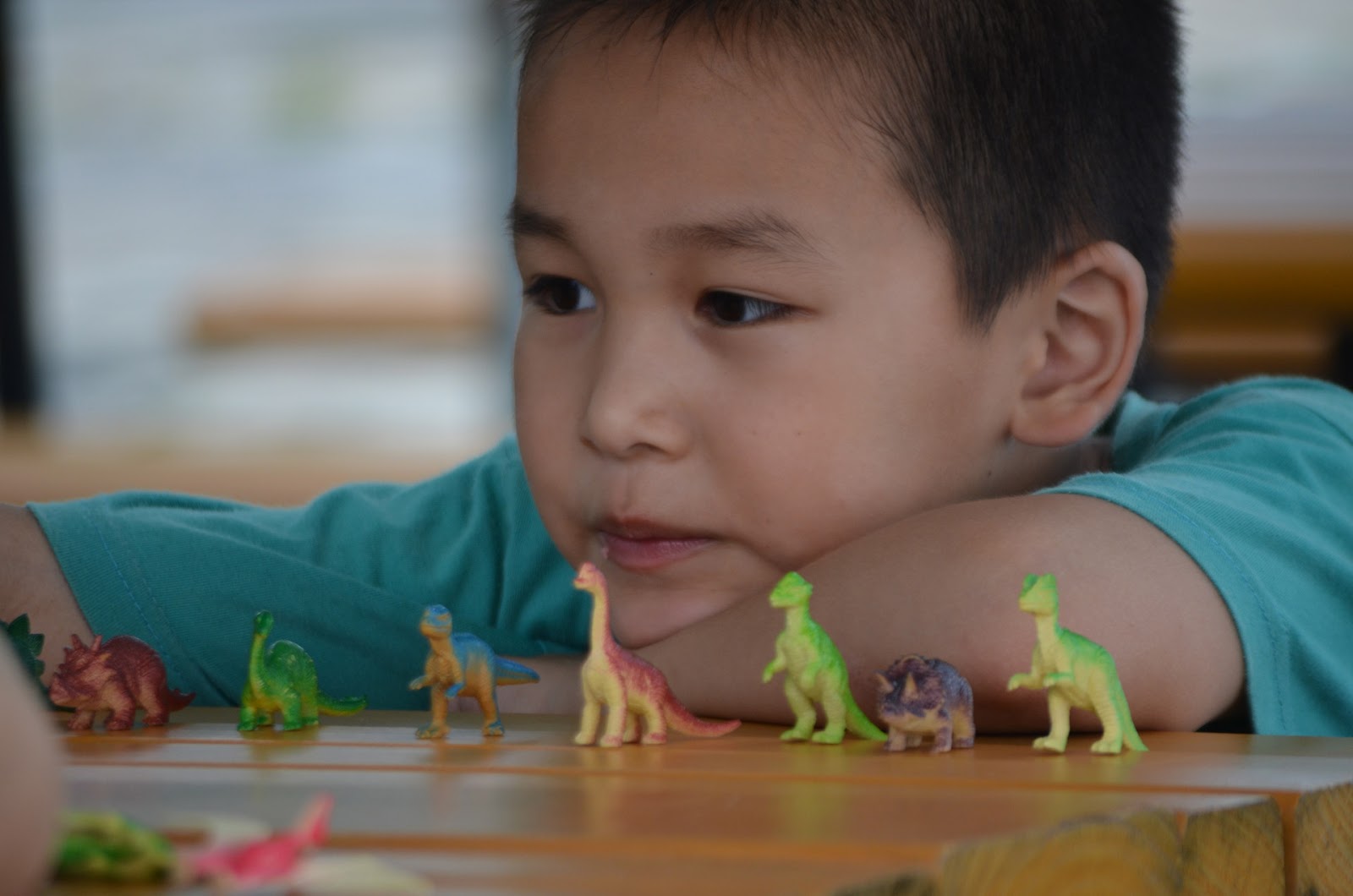 NAMC montessori following child through observation. boy playing with dinosaur figurines