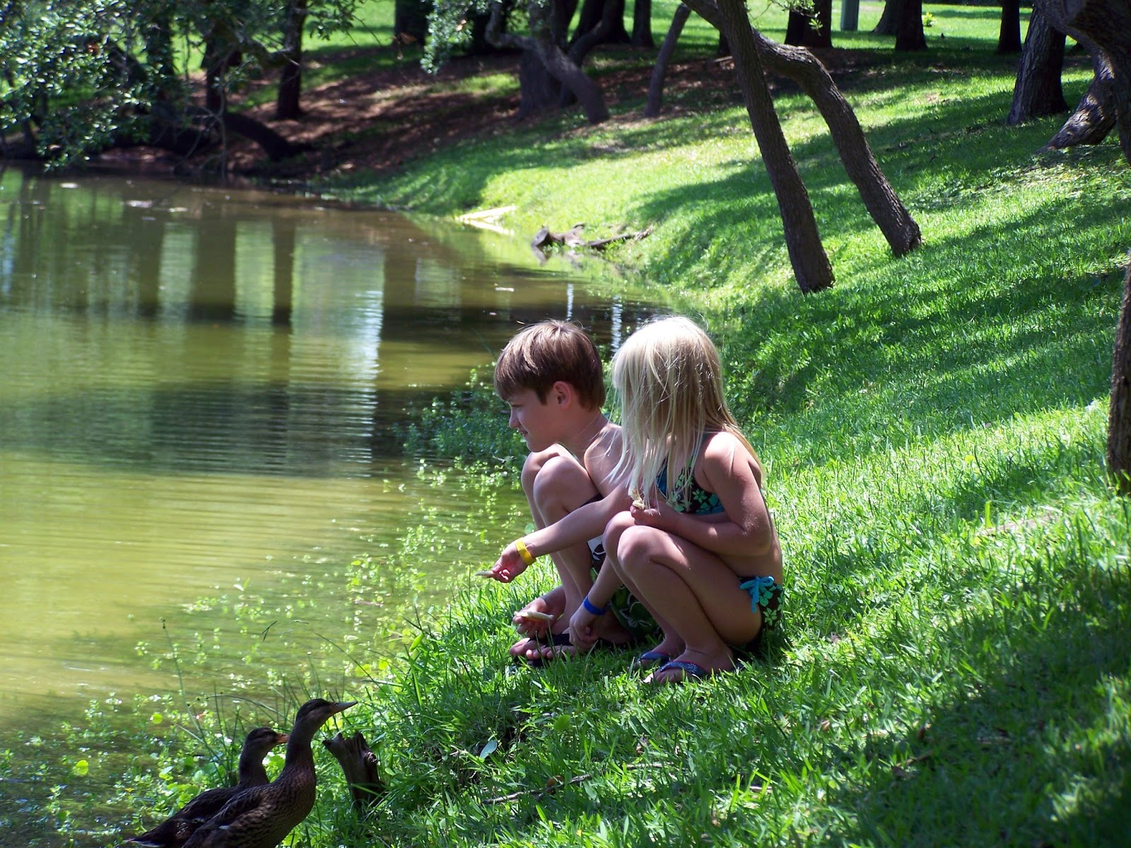 NAMC montessori educating the whole child children by pond with ducks