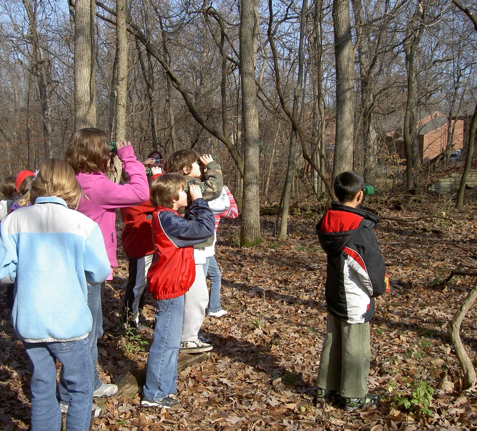 NAMC montessori lower elementary planning going out activities students in forest