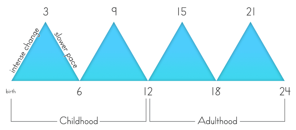 namc montessori second plane of development. peaks and valleys of development planes