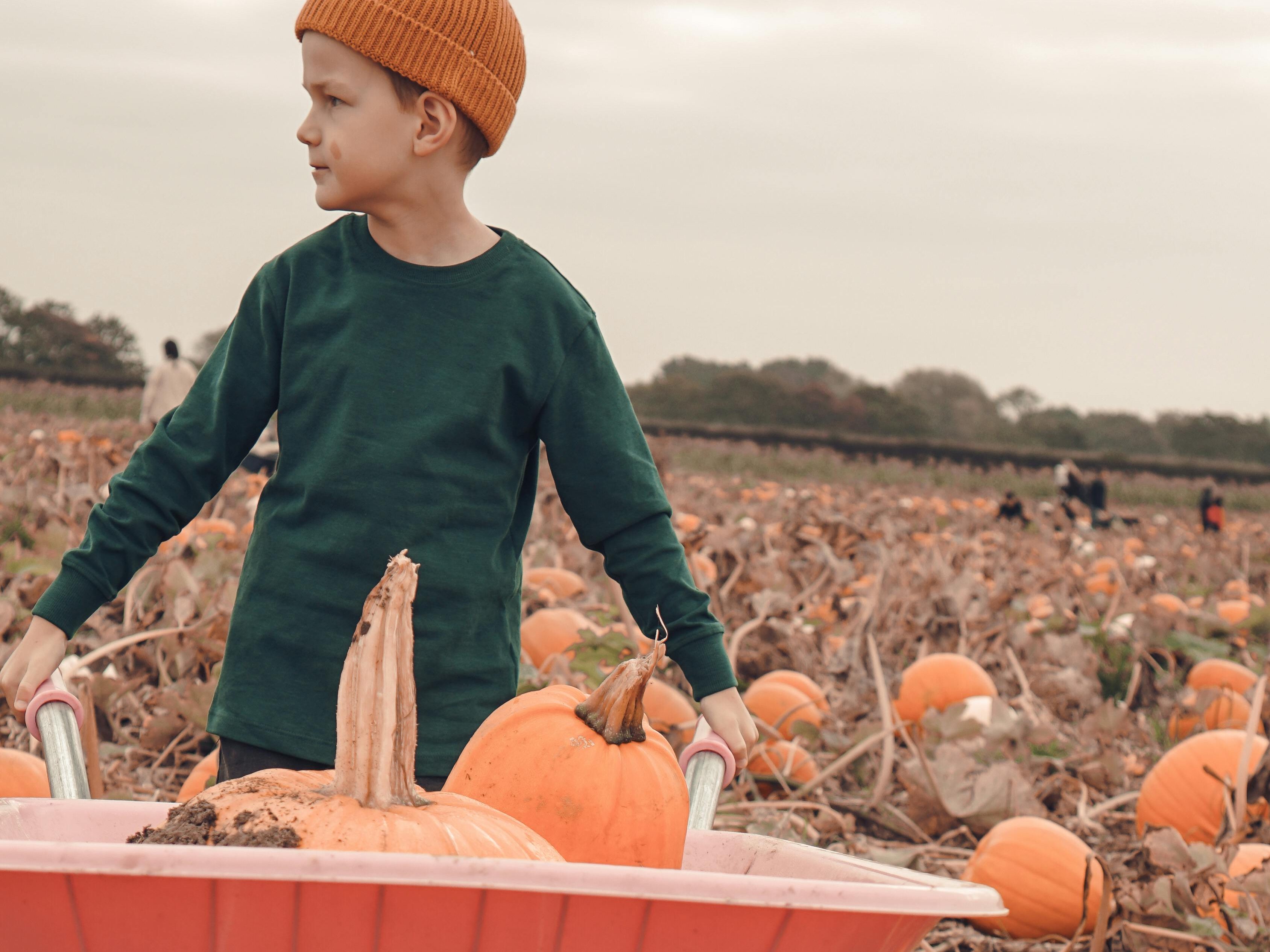 elementary age boy pushing wheel barrow of pumpkins